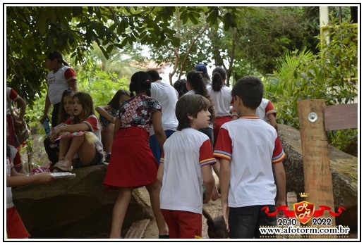 rolim de moura